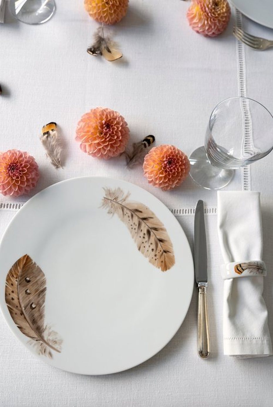 The Feather Collection