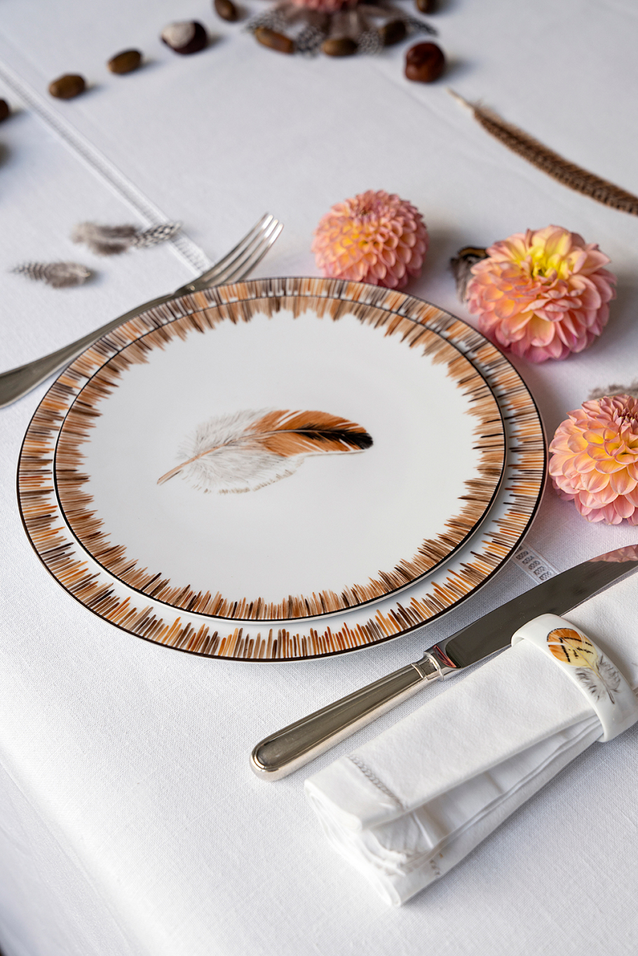 The Feather Collection