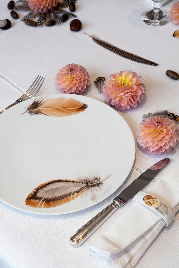 The Feather Collection