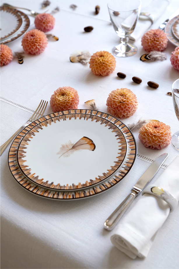 The Feather Collection