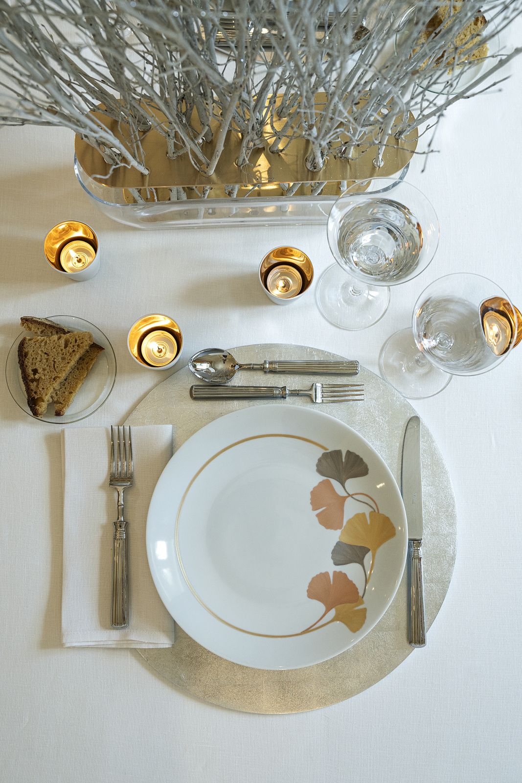 The Ginkgo Biloba Collection