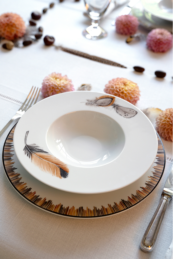 The Feather Collection