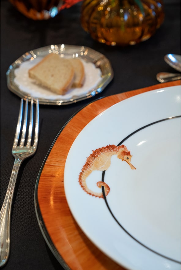 The Seahorse Collection